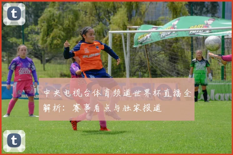 中央电视台体育频道世界杯直播全解析：赛事看点与独家报道