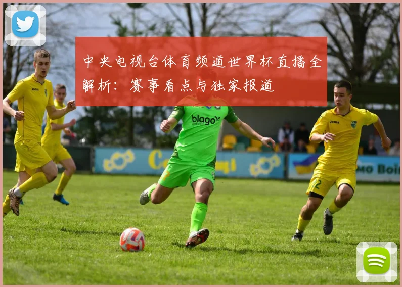 中央电视台体育频道世界杯直播全解析:赛事看点与独家报道