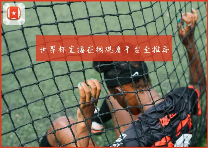世界杯直播在线观看平台全推荐