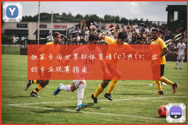 独家专访世界杯体育语fc3典tv：你的专业观赛指南